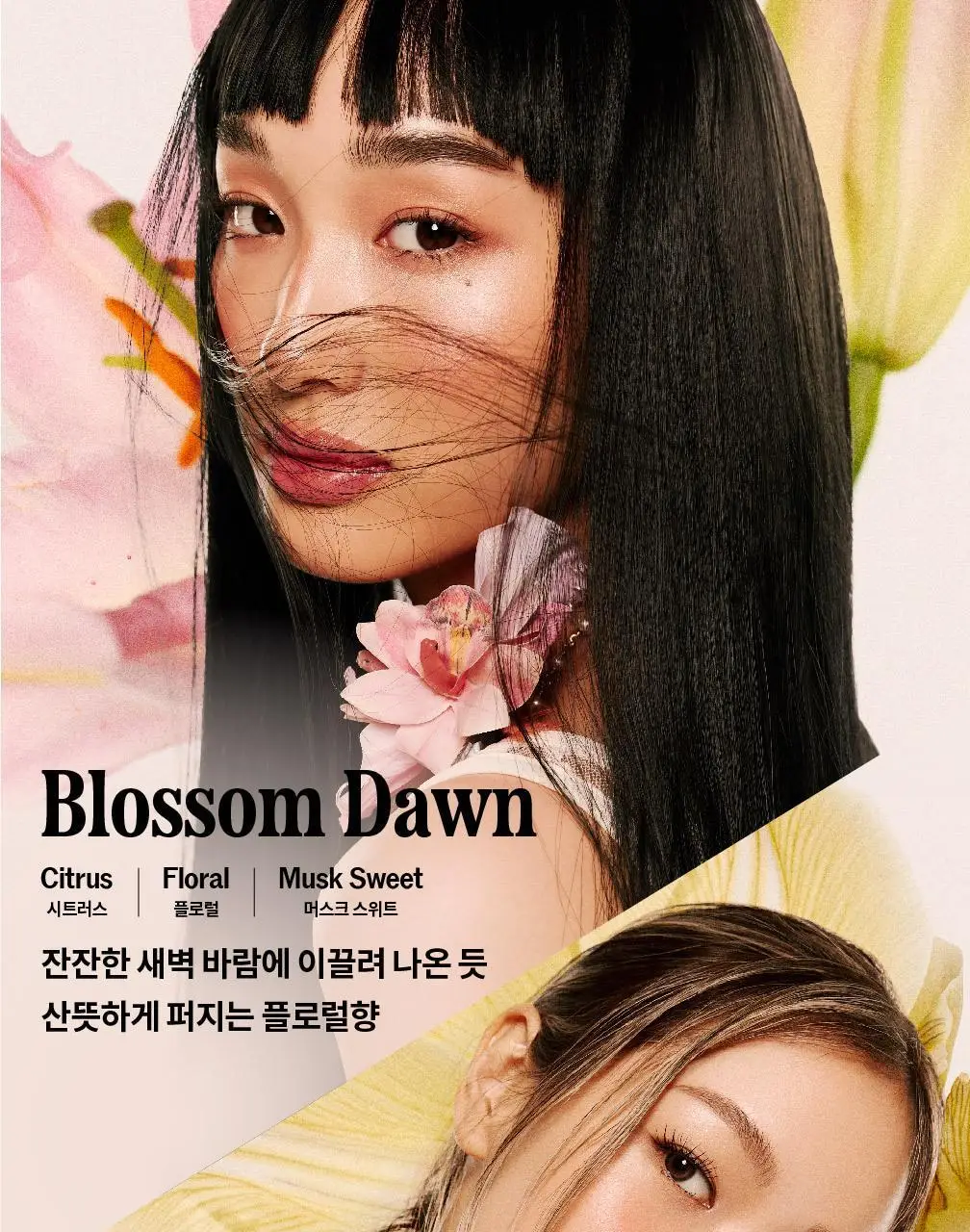 [NEW기획] 나르카 크리미 베일 헤어 미스트 (단품/기획) 상세페이지 13
